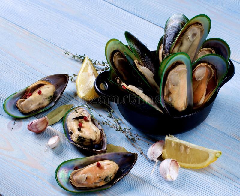 M7.1LB GREEN MUSSEL
